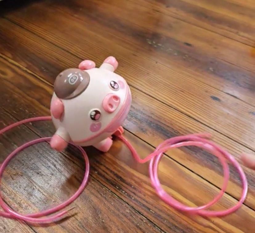 Tightrope Walking Tumbler Pig – Wobbly, Walky Fun for Kids!