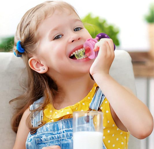 BPA-Free Silicone Fruit Pacifiers for Babies – Safe Feeder (Pack of 2)