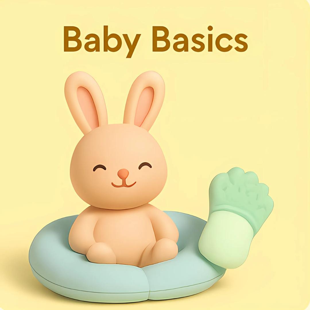 Baby Basics